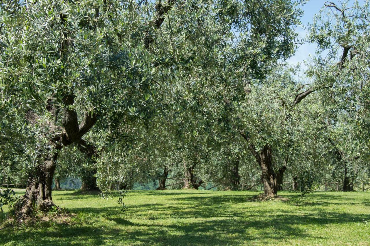 Agriturismo Podere La Casa パラーイア エクステリア 写真