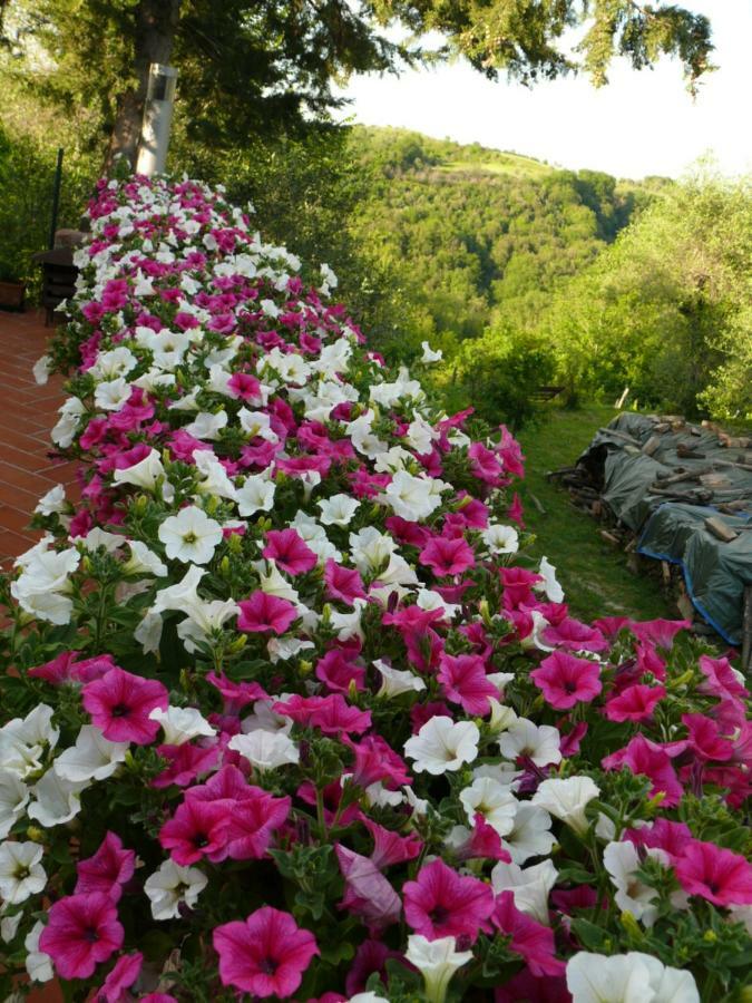 Agriturismo Podere La Casa パラーイア エクステリア 写真